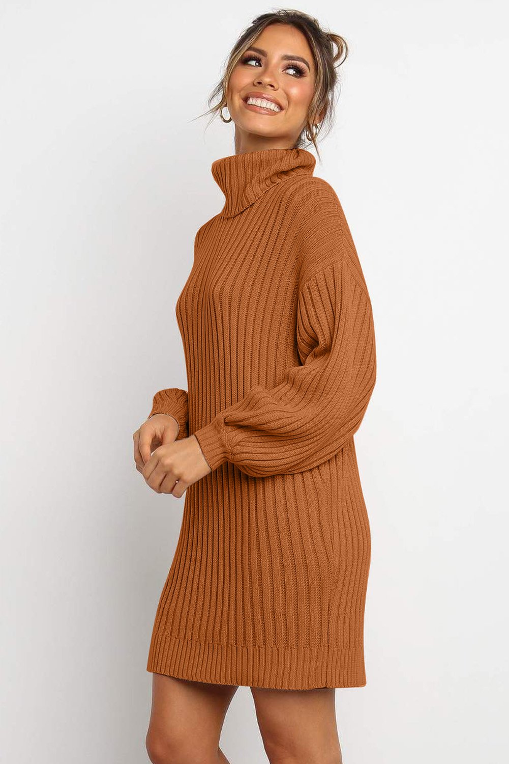 Turtleneck Balloon Sleeve Dress